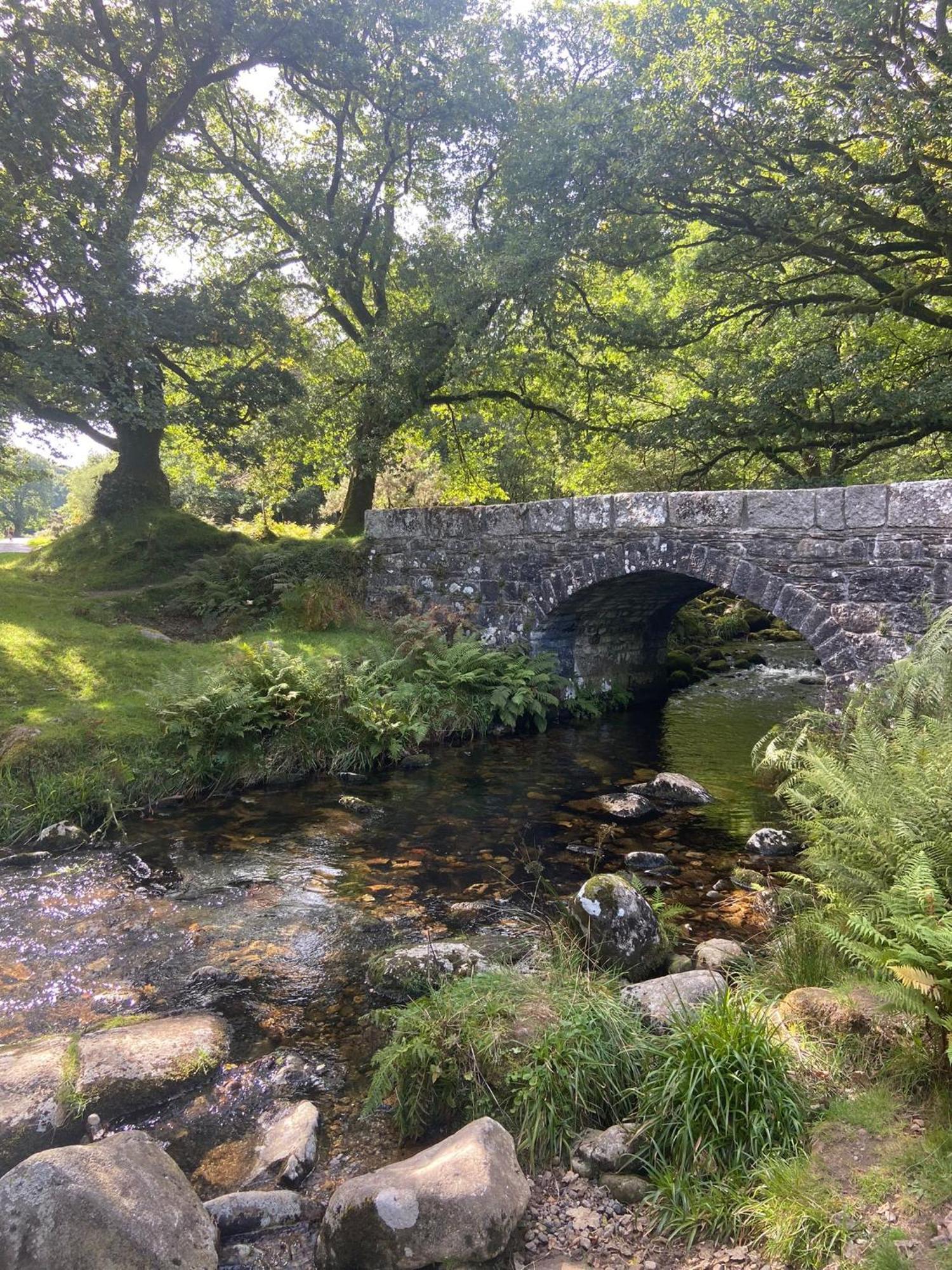 Maristow Cottages, Overlook Tamar Valley Dartmoor Plymouth Exterior photo